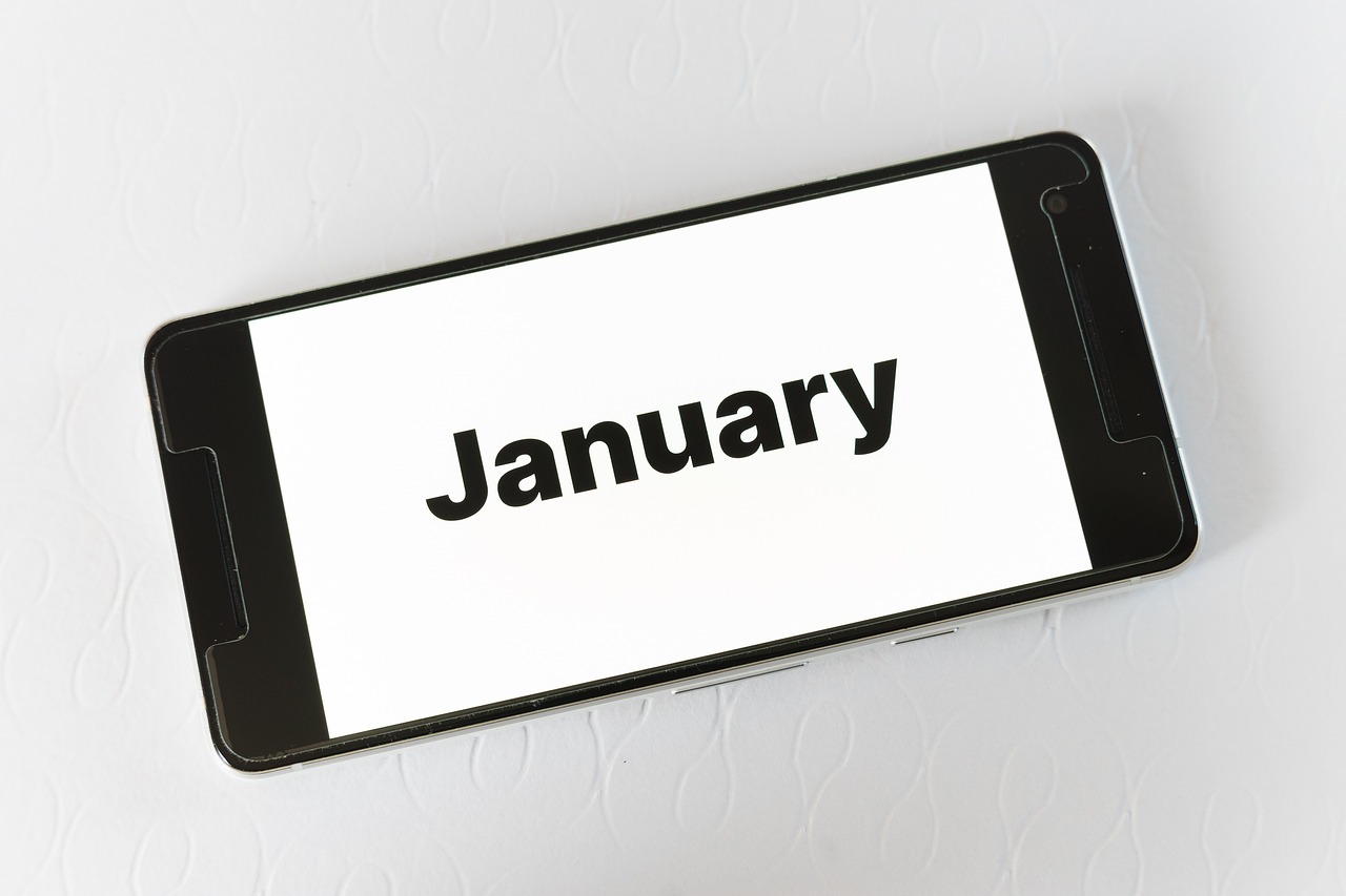 ¿Cuántos días tiene el mes de enero?