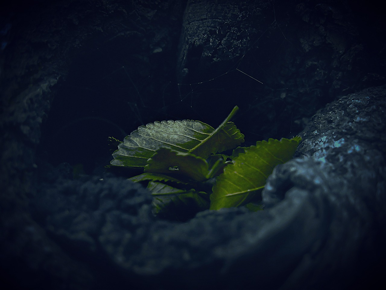 ¿Cuánto tiempo se tarda en ver la Cueva de los Verdes?